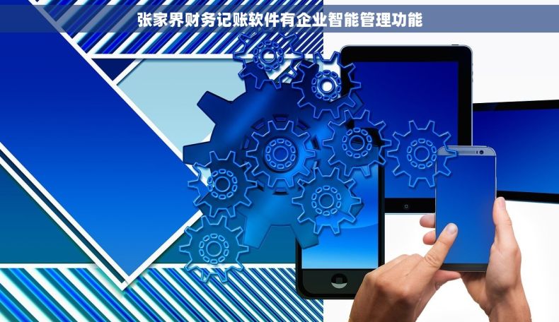 张家界财务记账软件有企业智能管理功能 张家界财务记账软件有企业智能管理功能
