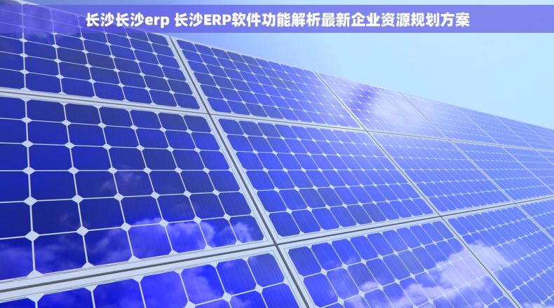 长沙长沙erp 长沙ERP软件功能解析最新企业资源规划方案