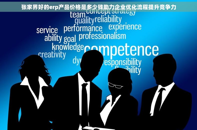 张家界好的erp产品价格是多少钱助力企业优化流程提升竞争力 张家界好的erp产品价格是多少钱助力企业优化流程提升竞争力