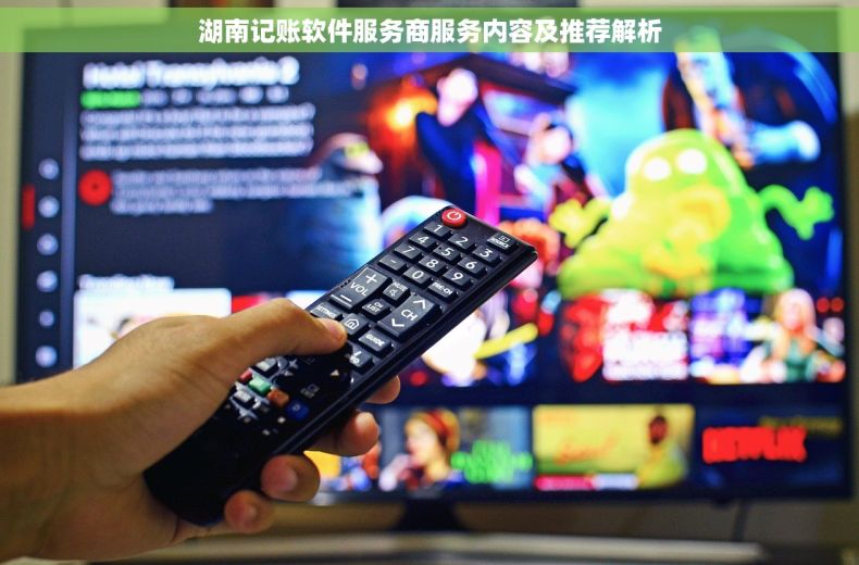 湖南记账软件服务商服务内容及推荐解析 湖南记账软件服务商服务内容及推荐解析