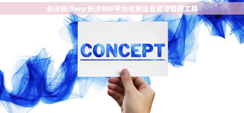 长沙长沙erp 长沙ERP平台优势企业资源管理工具 长沙长沙erp 长沙ERP平台优势企业资源管理工具