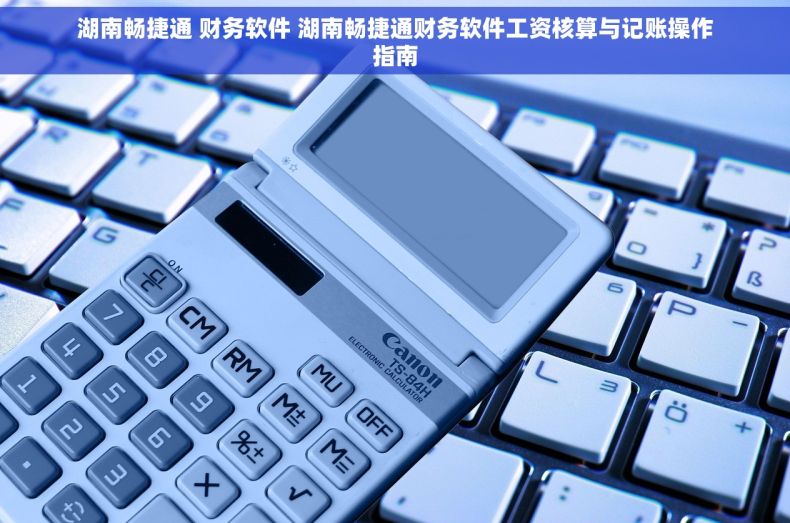 湖南畅捷通 财务软件 湖南畅捷通财务软件工资核算与记账操作指南