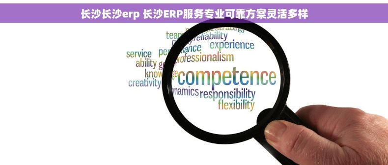 长沙长沙erp 长沙ERP服务专业可靠方案灵活多样 长沙长沙erp 长沙ERP服务专业可靠方案灵活多样