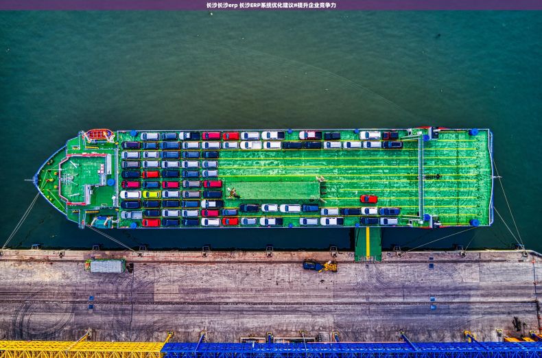 长沙长沙erp 长沙ERP系统优化建议#提升企业竞争力 长沙长沙erp 长沙ERP系统优化建议#提升企业竞争力
