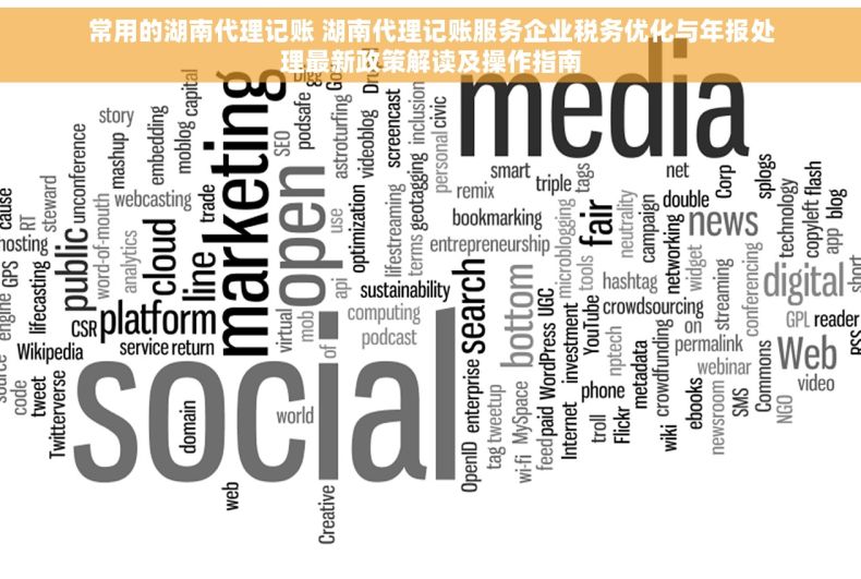 常用的湖南代理记账 湖南代理记账服务企业税务优化与年报处理最新政策解读及操作指南 常用的湖南代理记账 湖南代理记账服务企业税务优化与年报处理最新政策解读及操作指南