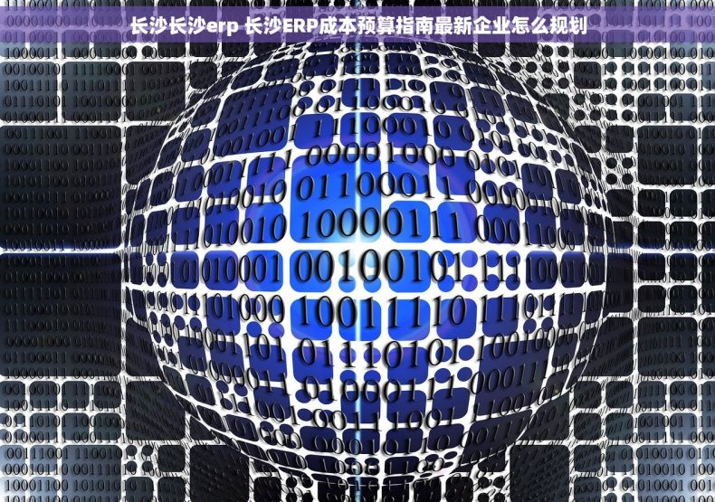 长沙长沙erp 长沙ERP成本预算指南最新企业怎么规划 长沙长沙erp 长沙ERP成本预算指南最新企业怎么规划