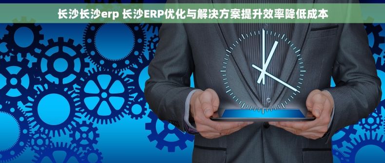 长沙长沙erp 长沙ERP优化与解决方案提升效率降低成本