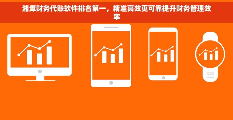 湘潭财务代账软件排名第一,精准高效更可靠提升财务管理效率 湘潭财务代账软件排名第一,精准高效更可靠提升财务管理效率