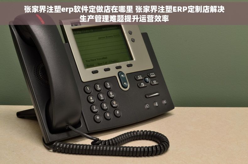 张家界注塑erp软件定做店在哪里 张家界注塑ERP定制店解决生产管理难题提升运营效率