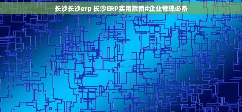 长沙长沙erp 长沙ERP实用指南#企业管理必备 长沙长沙erp 长沙ERP实用指南#企业管理必备