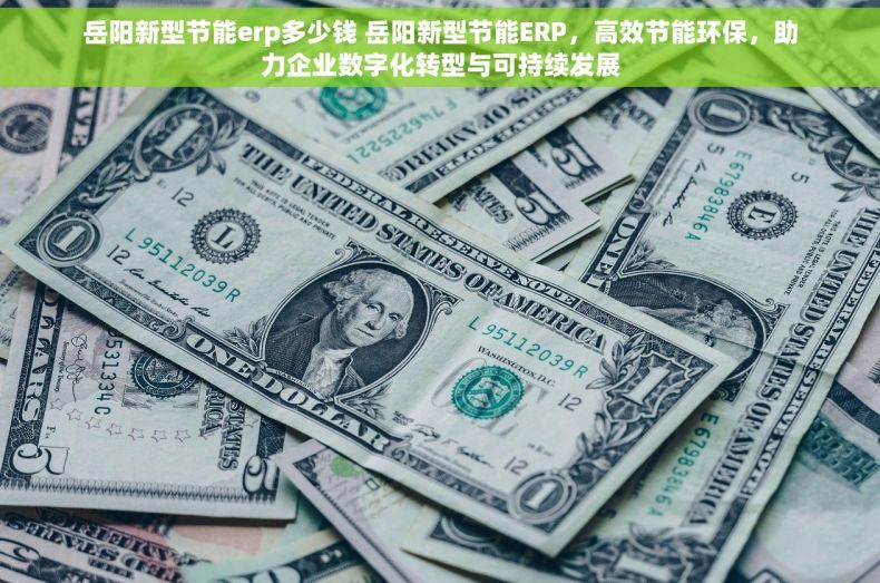 岳阳新型节能erp多少钱 岳阳新型节能ERP,高效节能环保,助力企业数字化转型与可持续发展 岳阳新型节能erp多少钱 岳阳新型节能ERP,高效节能环保,助力企业数字化转型与可持续发展