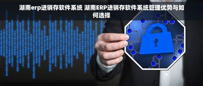 湖南erp进销存软件系统 湖南ERP进销存软件系统管理优势与如何选择 湖南erp进销存软件系统 湖南ERP进销存软件系统管理优势与如何选择