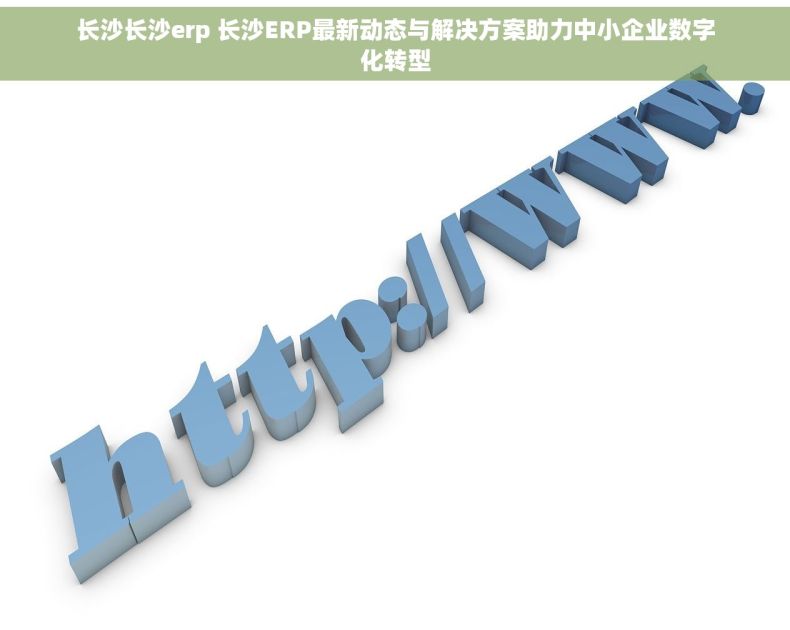 长沙长沙erp 长沙ERP最新动态与解决方案助力中小企业数字化转型 长沙长沙erp 长沙ERP最新动态与解决方案助力中小企业数字化转型