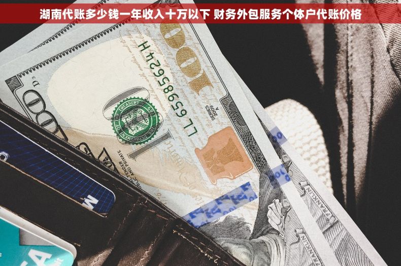 湖南代账多少钱一年收入十万以下 财务外包服务个体户代账价格 湖南代账多少钱一年收入十万以下 财务外包服务个体户代账价格