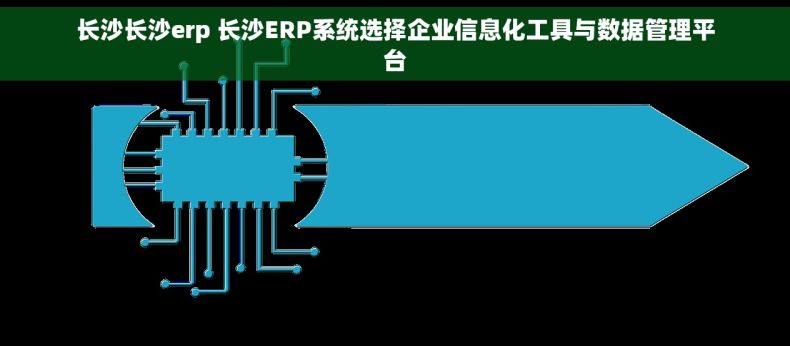 长沙长沙erp 长沙ERP系统选择企业信息化工具与数据管理平台 长沙长沙erp 长沙ERP系统选择企业信息化工具与数据管理平台