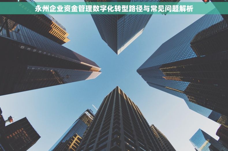 永州企业资金管理数字化转型路径与常见问题解析 永州企业资金管理数字化转型路径与常见问题解析