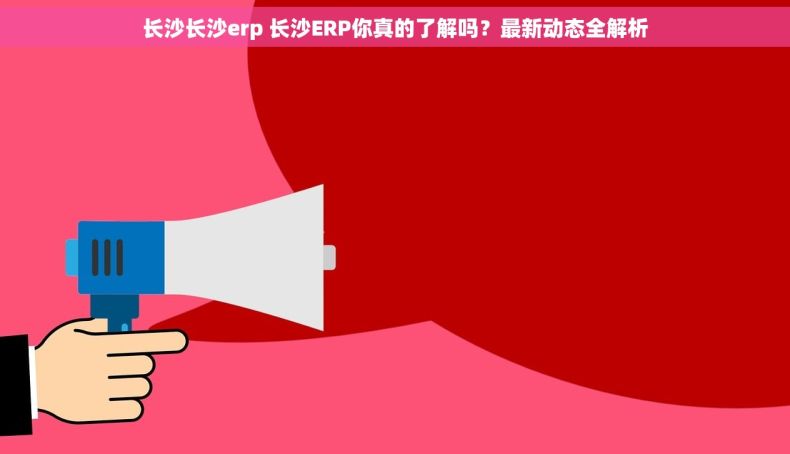 长沙长沙erp 长沙ERP你真的了解吗?最新动态全解析 长沙长沙erp 长沙ERP你真的了解吗?最新动态全解析