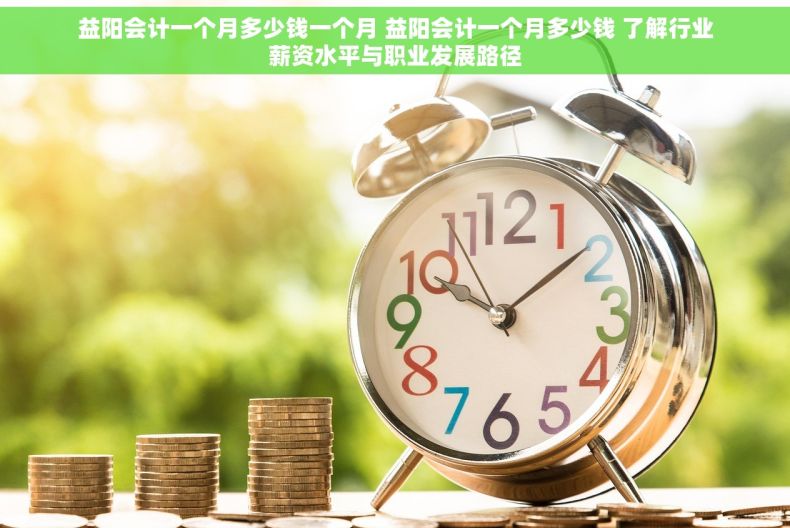 益阳会计一个月多少钱一个月 益阳会计一个月多少钱 了解行业薪资水平与职业发展路径 益阳会计一个月多少钱一个月 益阳会计一个月多少钱 了解行业薪资水平与职业发展路径