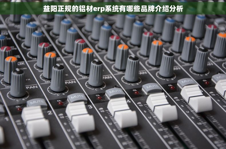 益阳正规的铝材erp系统有哪些品牌介绍分析 益阳正规的铝材erp系统有哪些品牌介绍分析