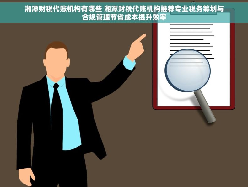 湘潭财税代账机构有哪些 湘潭财税代账机构推荐专业税务筹划与合规管理节省成本提升效率