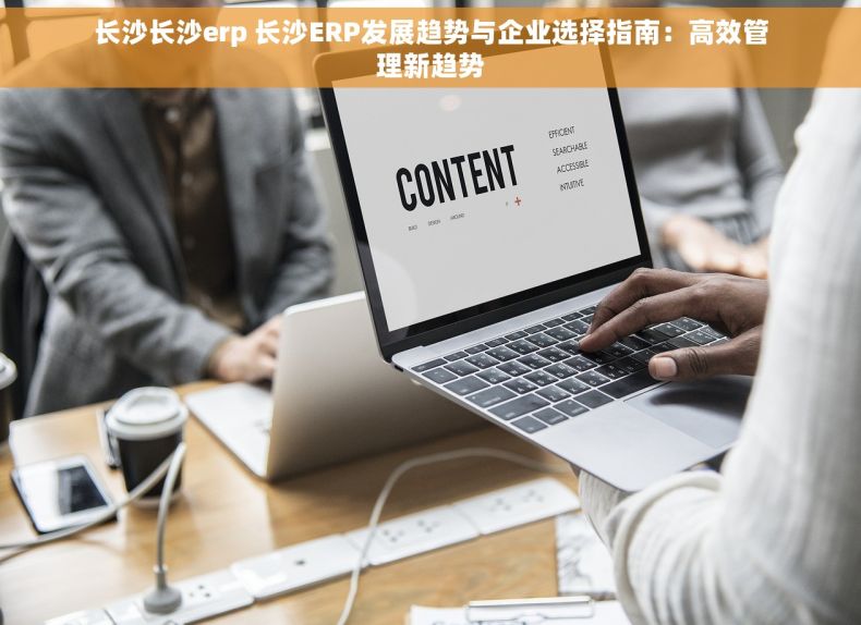 长沙长沙erp 长沙ERP发展趋势与企业选择指南：高效管理新趋势