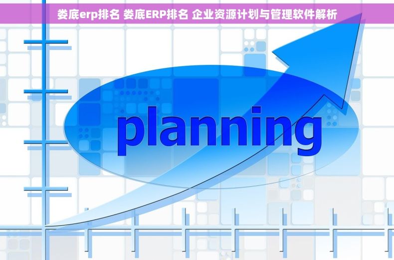 娄底erp排名 娄底ERP排名 企业资源计划与管理软件解析 娄底erp排名 娄底ERP排名 企业资源计划与管理软件解析