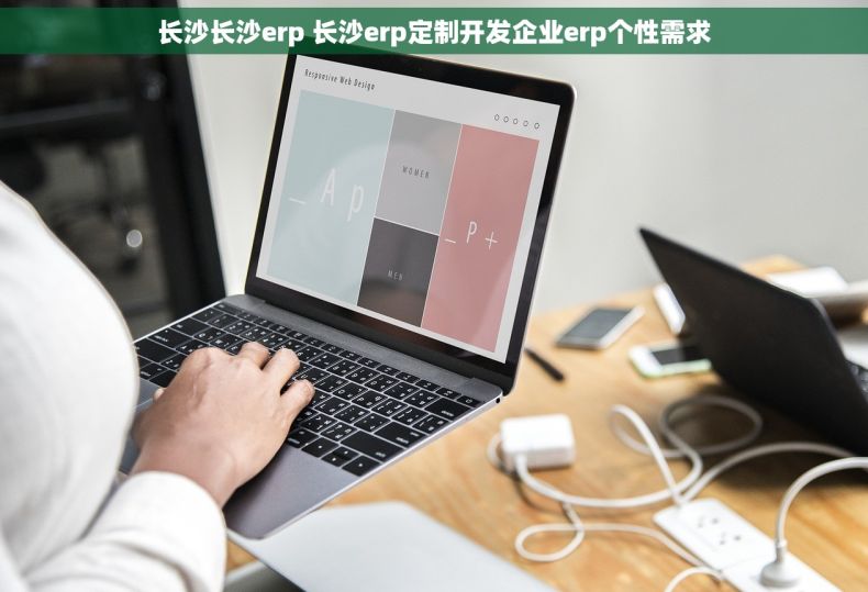 长沙长沙erp 长沙erp定制开发企业erp个性需求 长沙长沙erp 长沙erp定制开发企业erp个性需求