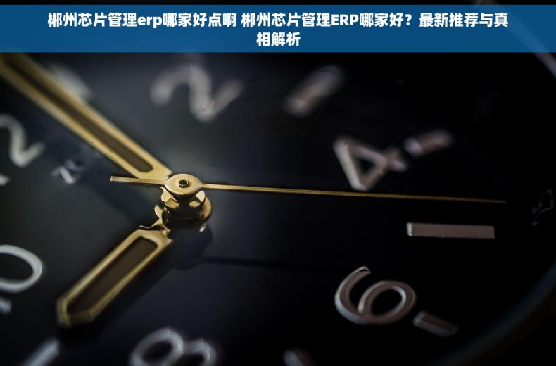 郴州芯片管理erp哪家好点啊 郴州芯片管理ERP哪家好?最新推荐与真相解析 郴州芯片管理erp哪家好点啊 郴州芯片管理ERP哪家好?最新推荐与真相解析