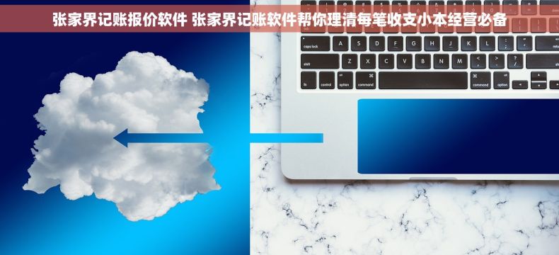 张家界记账报价软件 张家界记账软件帮你理清每笔收支小本经营必备 张家界记账报价软件 张家界记账软件帮你理清每笔收支小本经营必备