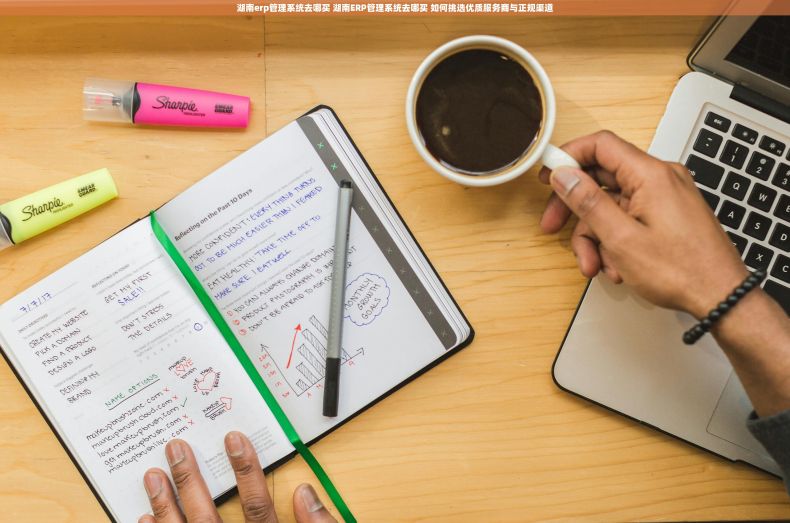 湖南erp管理系统去哪买 湖南ERP管理系统去哪买 如何挑选优质服务商与正规渠道 湖南erp管理系统去哪买 湖南ERP管理系统去哪买 如何挑选优质服务商与正规渠道