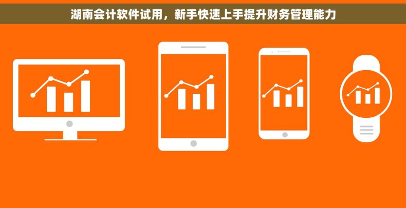 湖南会计软件试用,新手快速上手提升财务管理能力 湖南会计软件试用,新手快速上手提升财务管理能力