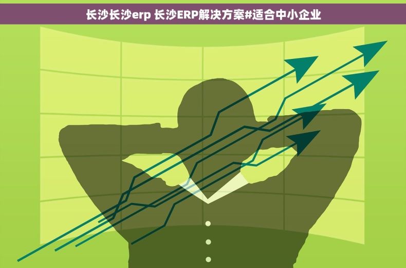 长沙长沙erp 长沙ERP解决方案#适合中小企业