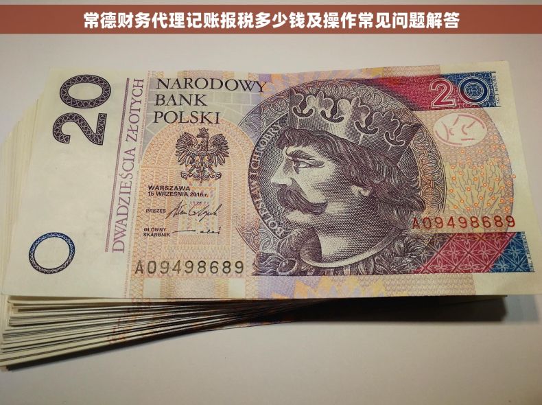 常德财务代理记账报税多少钱及操作常见问题解答 常德财务代理记账报税多少钱及操作常见问题解答