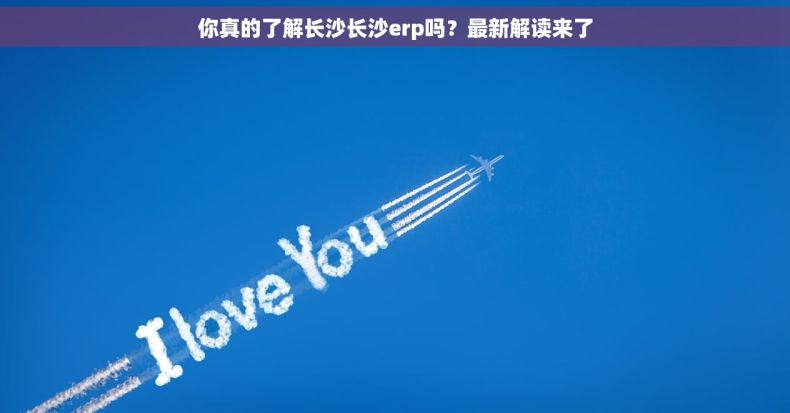 你真的了解长沙长沙erp吗?最新解读来了 你真的了解长沙长沙erp吗?最新解读来了
