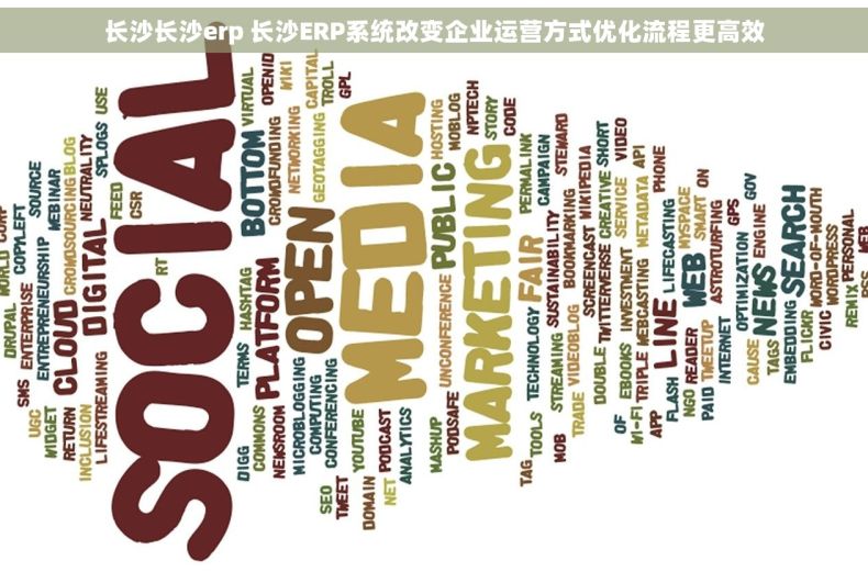 长沙长沙erp 长沙ERP系统改变企业运营方式优化流程更高效