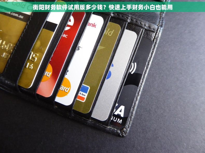 衡阳财务软件试用版多少钱？快速上手财务小白也能用