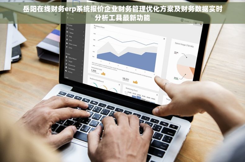 岳阳在线财务erp系统报价企业财务管理优化方案及财务数据实时分析工具最新功能 岳阳在线财务erp系统报价企业财务管理优化方案及财务数据实时分析工具最新功能