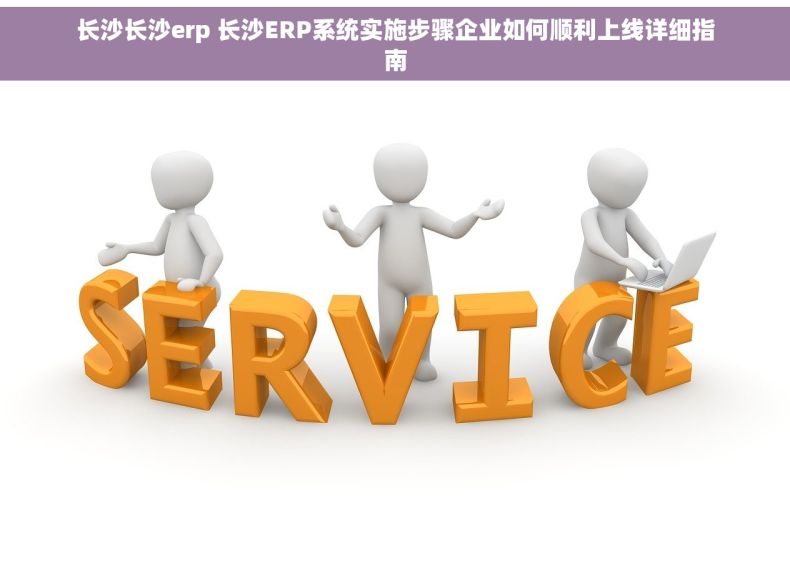 长沙长沙erp 长沙ERP系统实施步骤企业如何顺利上线详细指南 长沙长沙erp 长沙ERP系统实施步骤企业如何顺利上线详细指南