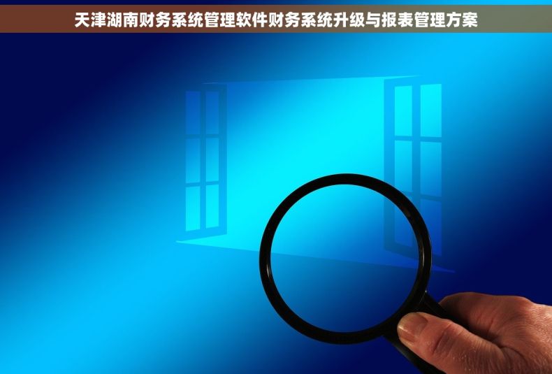 天津湖南财务系统管理软件财务系统升级与报表管理方案 天津湖南财务系统管理软件财务系统升级与报表管理方案