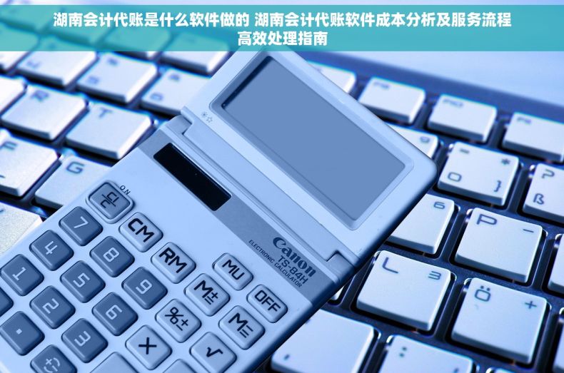 湖南会计代账是什么软件做的 湖南会计代账软件成本分析及服务流程高效处理指南 湖南会计代账是什么软件做的 湖南会计代账软件成本分析及服务流程高效处理指南