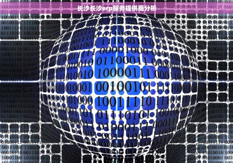 长沙长沙erp服务提供商分析 长沙长沙erp服务提供商分析