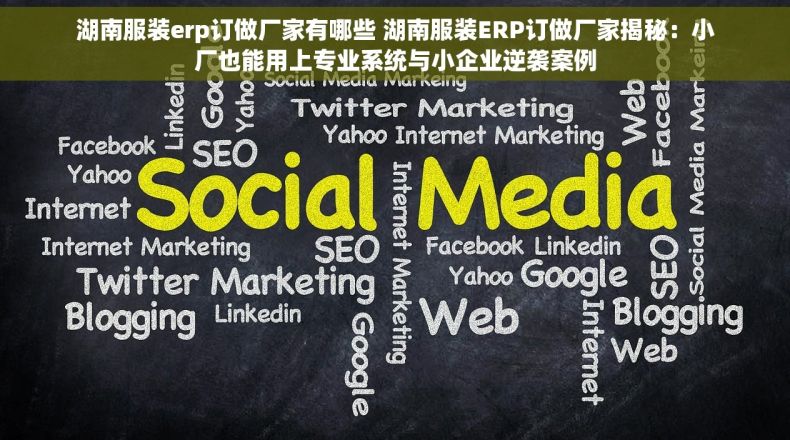 湖南服装erp订做厂家有哪些 湖南服装ERP订做厂家揭秘：小厂也能用上专业系统与小企业逆袭案例