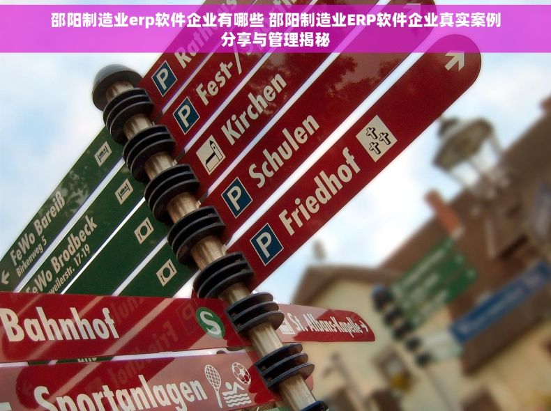 邵阳制造业erp软件企业有哪些 邵阳制造业ERP软件企业真实案例分享与管理揭秘 邵阳制造业erp软件企业有哪些 邵阳制造业ERP软件企业真实案例分享与管理揭秘