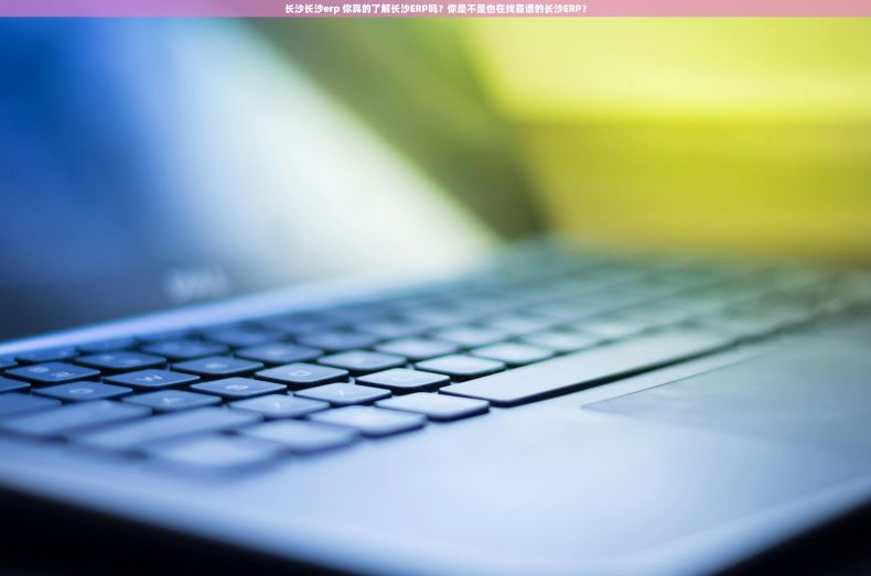 长沙长沙erp 你真的了解长沙ERP吗?你是不是也在找靠谱的长沙ERP? 长沙长沙erp 你真的了解长沙ERP吗?你是不是也在找靠谱的长沙ERP?