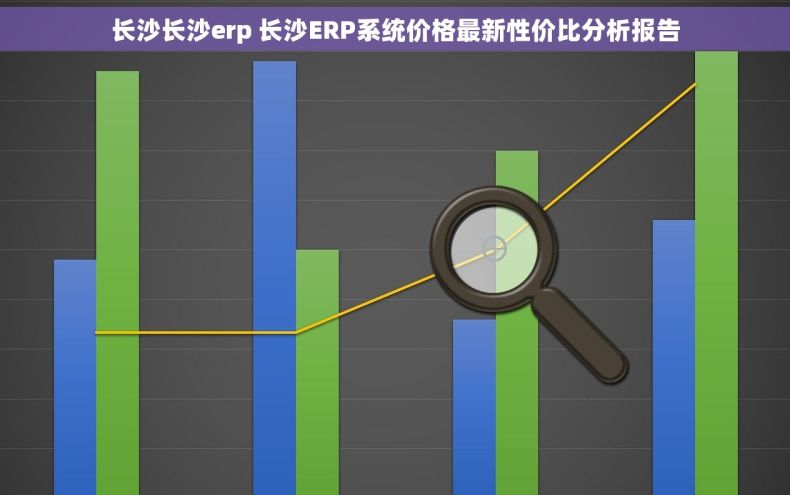 长沙长沙erp 长沙ERP系统价格最新性价比分析报告 长沙长沙erp 长沙ERP系统价格最新性价比分析报告