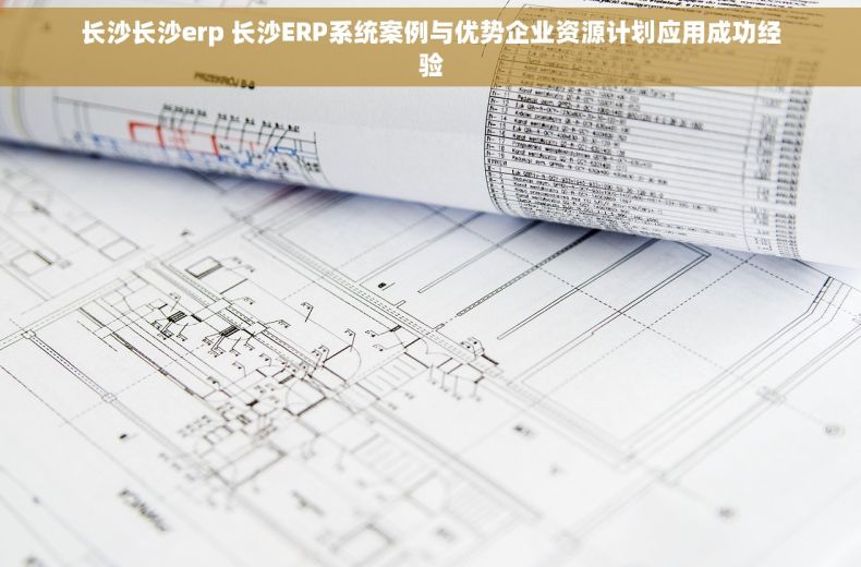 长沙长沙erp 长沙ERP系统案例与优势企业资源计划应用成功经验 长沙长沙erp 长沙ERP系统案例与优势企业资源计划应用成功经验