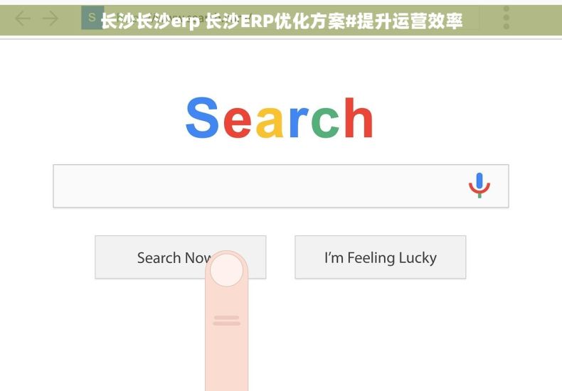 长沙长沙erp 长沙ERP优化方案#提升运营效率