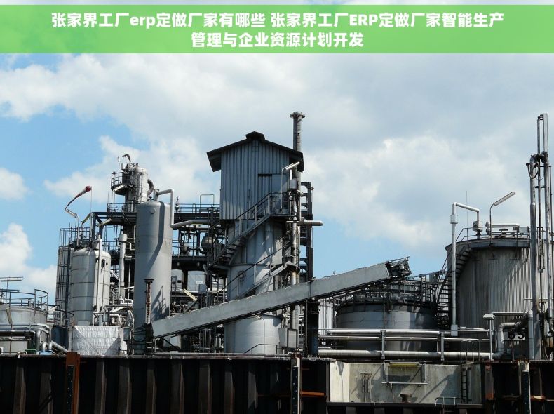 张家界工厂erp定做厂家有哪些 张家界工厂ERP定做厂家智能生产管理与企业资源计划开发 张家界工厂erp定做厂家有哪些 张家界工厂ERP定做厂家智能生产管理与企业资源计划开发