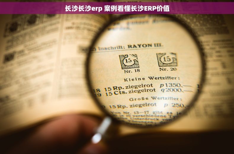 长沙长沙erp 案例看懂长沙ERP价值 长沙长沙erp 案例看懂长沙ERP价值