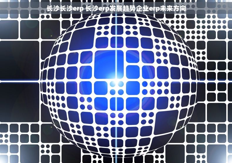 长沙长沙erp 长沙erp发展趋势企业erp未来方向